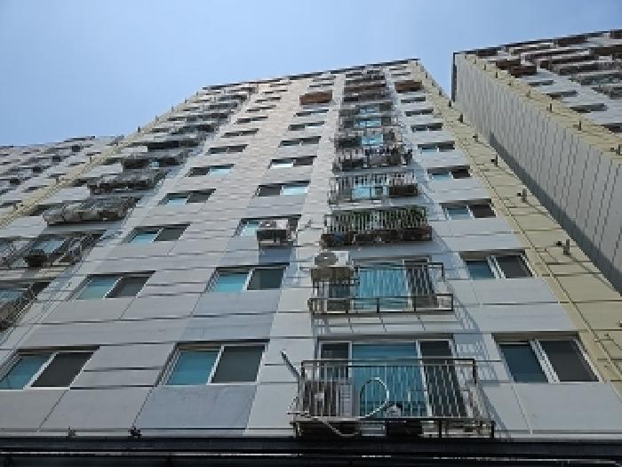사진 11