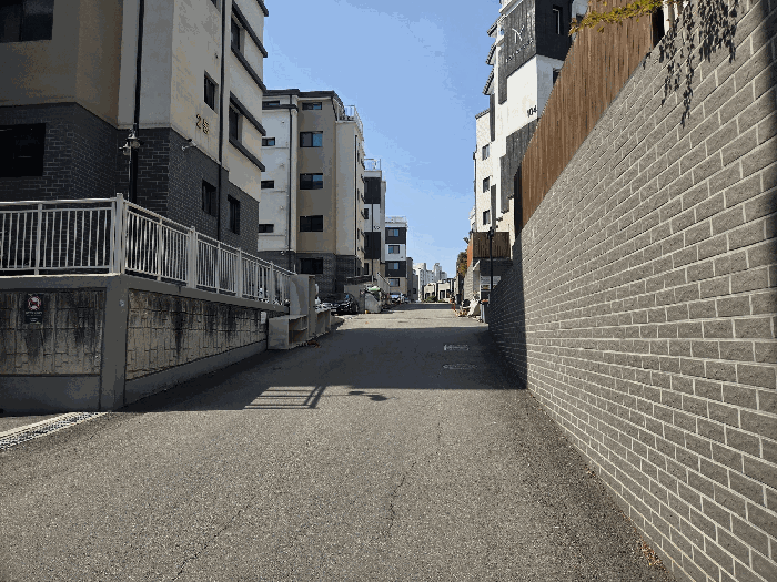 사진 11