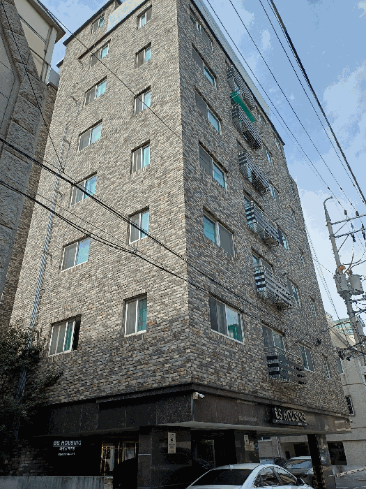 사진 11