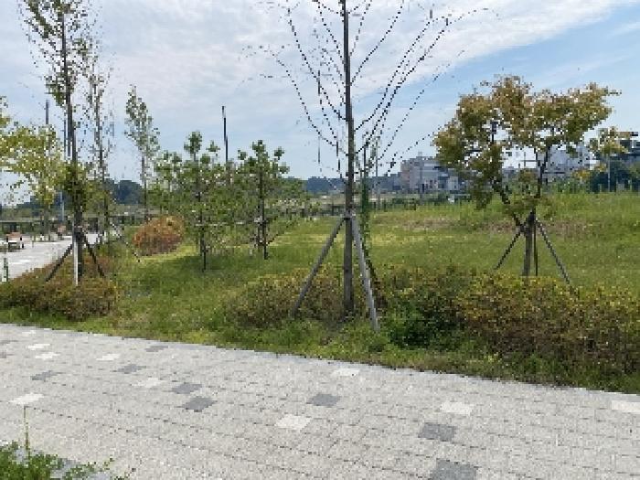사진 30
