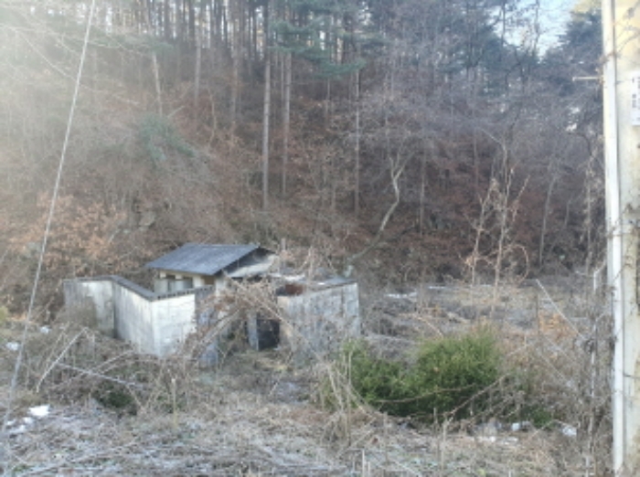 사진 1