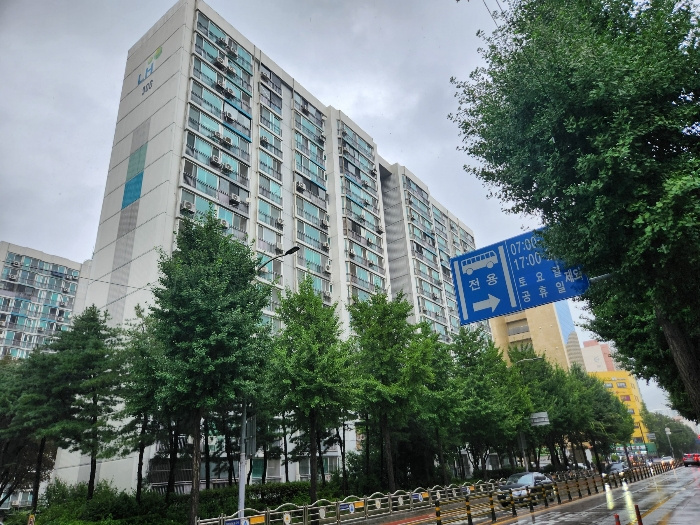 사진 9