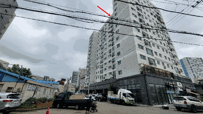 사진 5