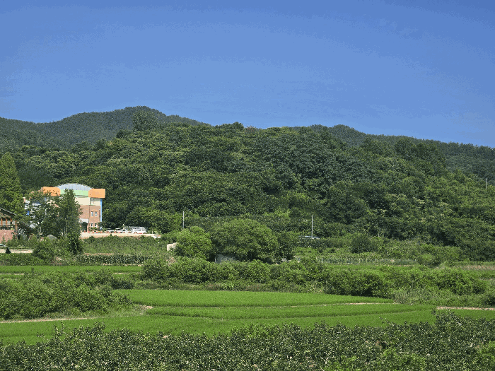 사진 6