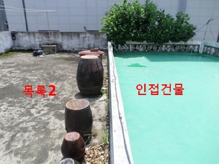 사진 11