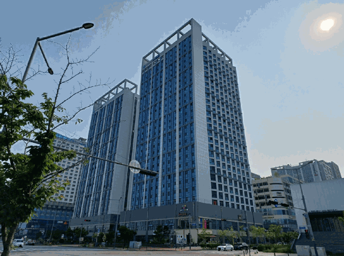 사진 12