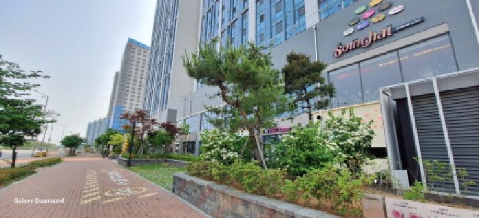 사진 6