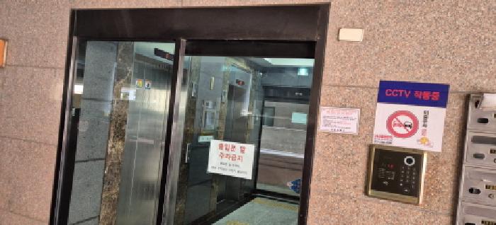 사진 11