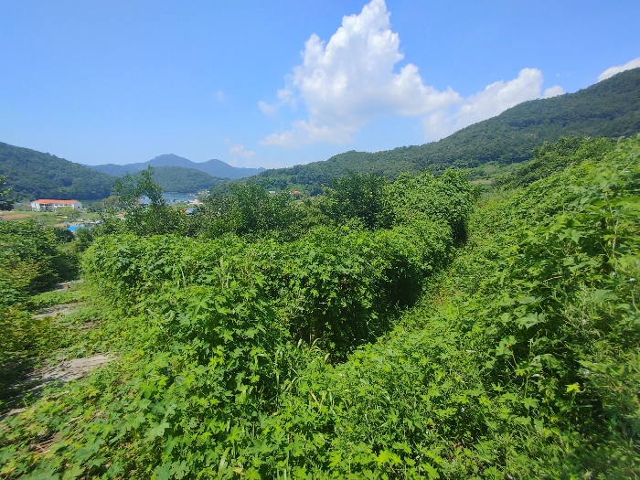 사진 1