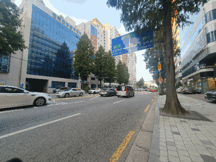 사진 8
