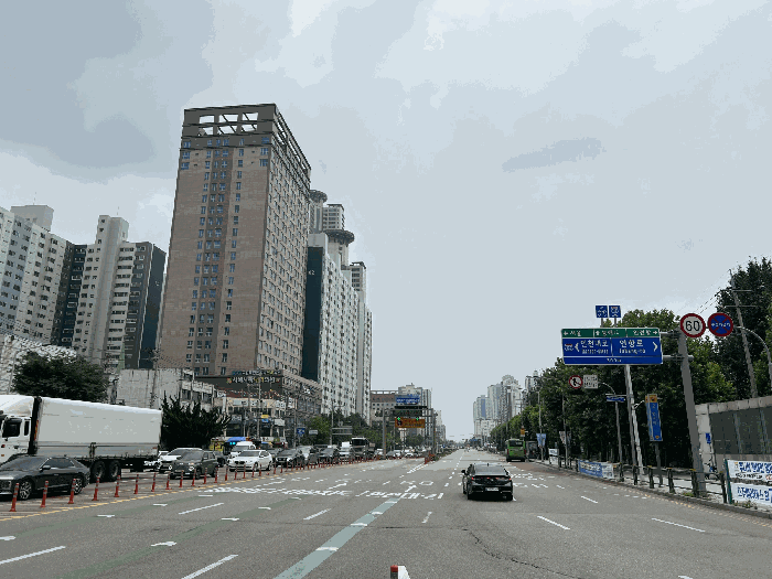 사진 5