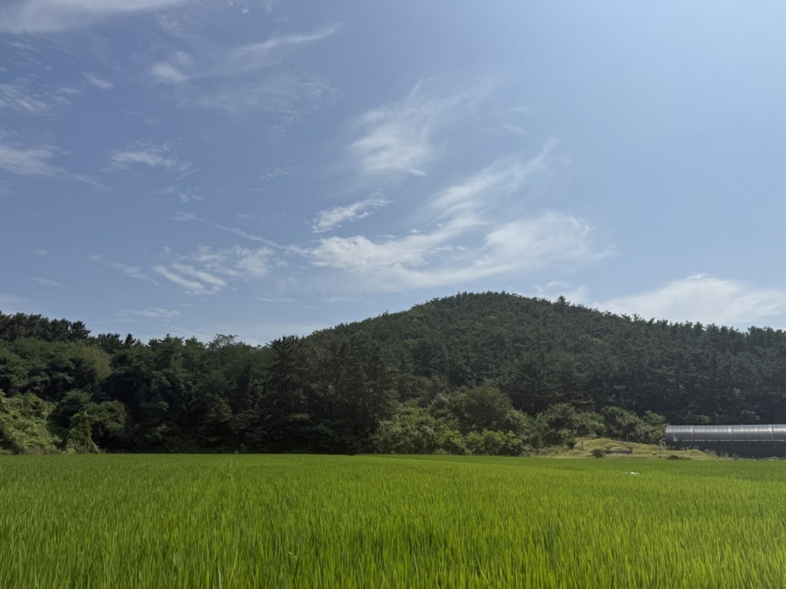 사진 1