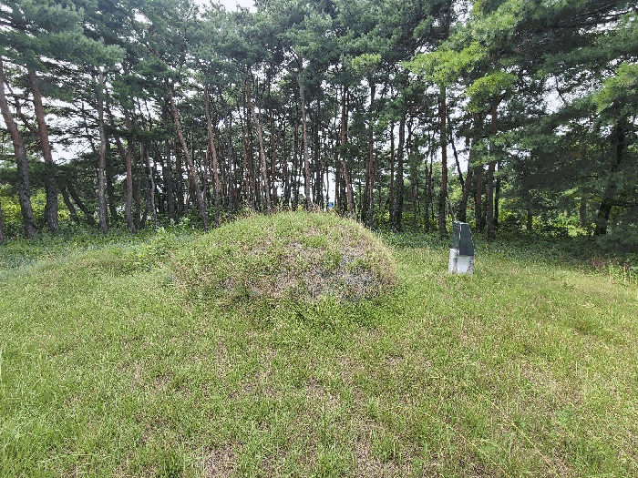 사진 12