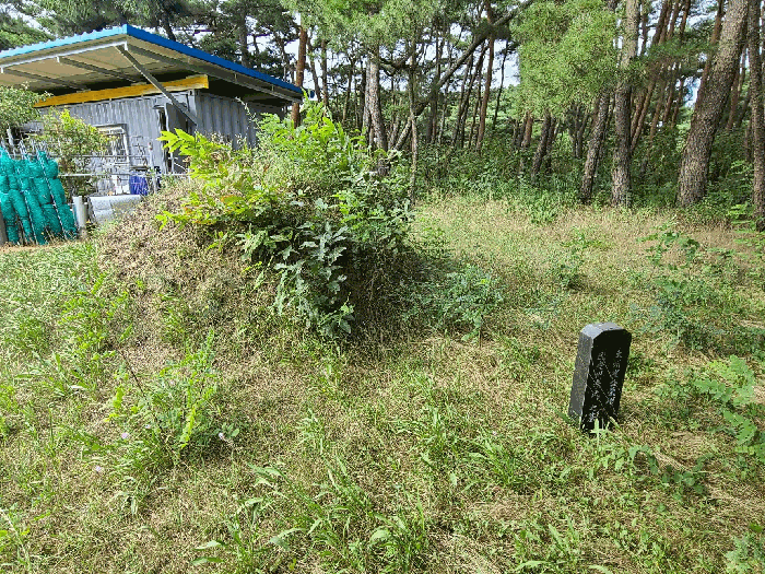 사진 14