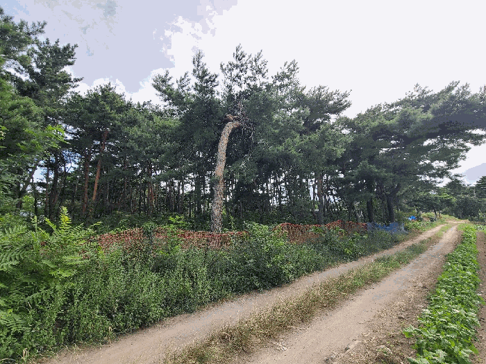 사진 17