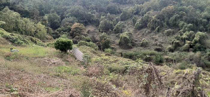 사진 4
