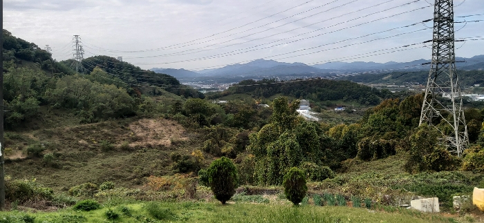 사진 6