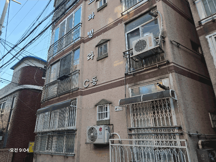 사진 9