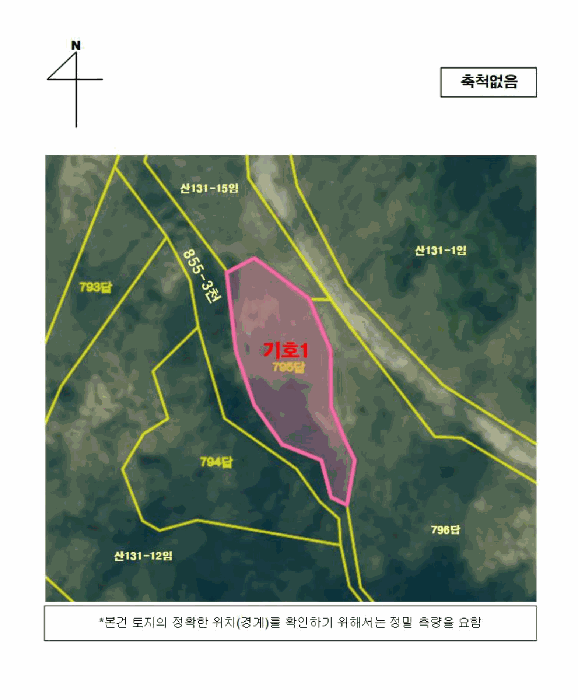 사진 15