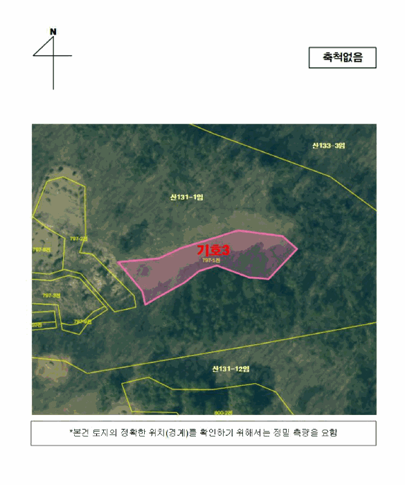 사진 5