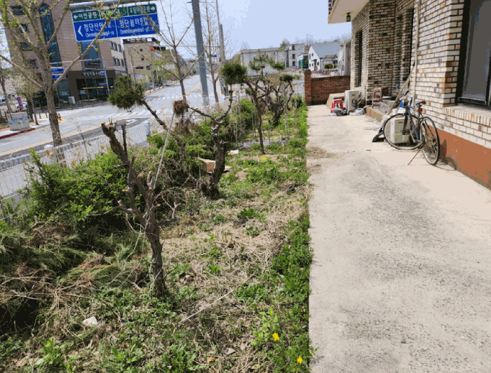 사진 8