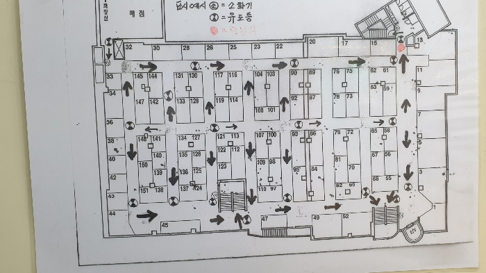 사진 10