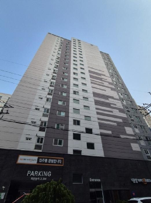 사진 10