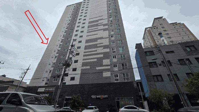 사진 8