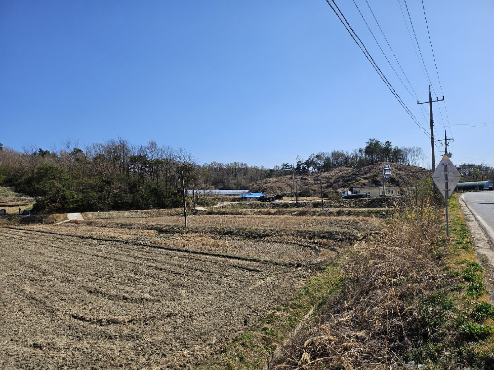 사진 1