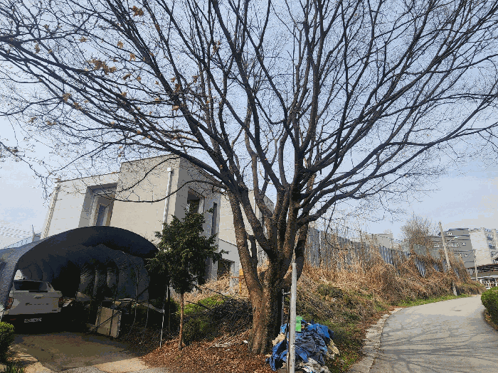 사진 23