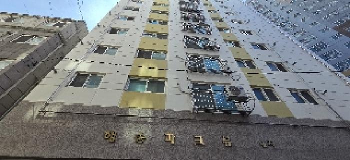 사진 10