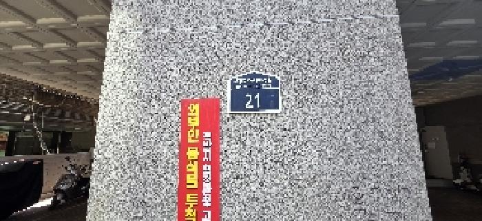 사진 11