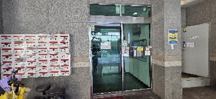 사진 12