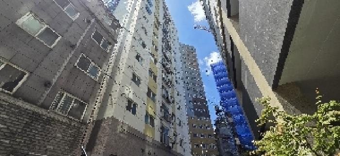 사진 9
