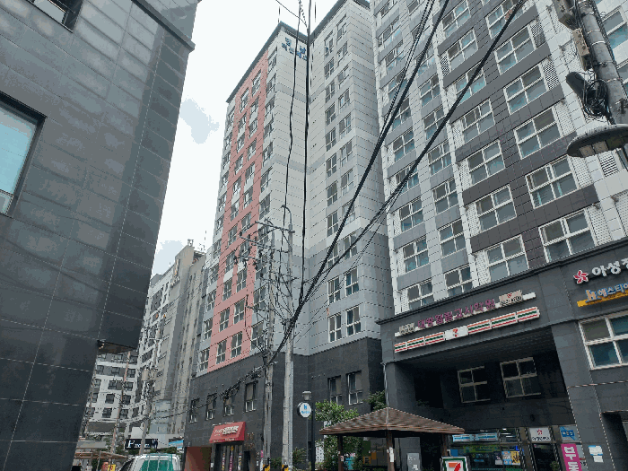 사진 10