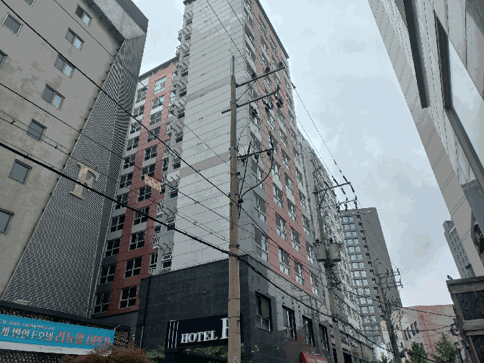 사진 12