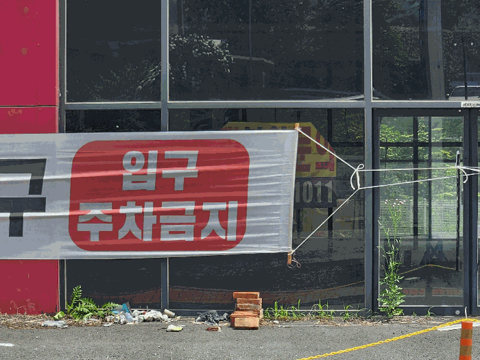 사진 11