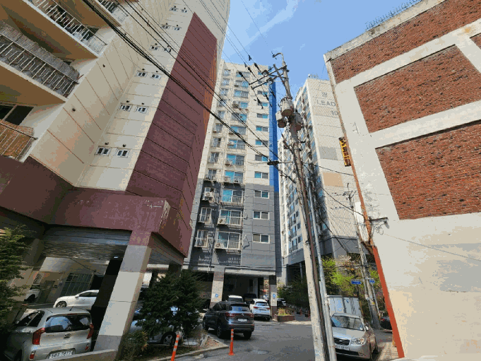 사진 10