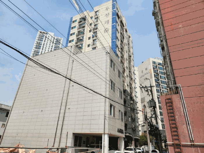 사진 13
