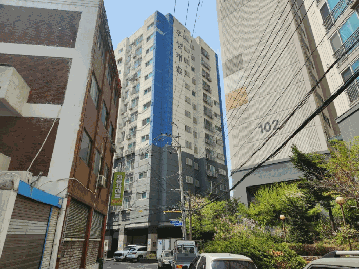 사진 7