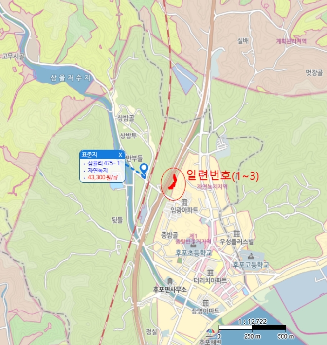 사진 5