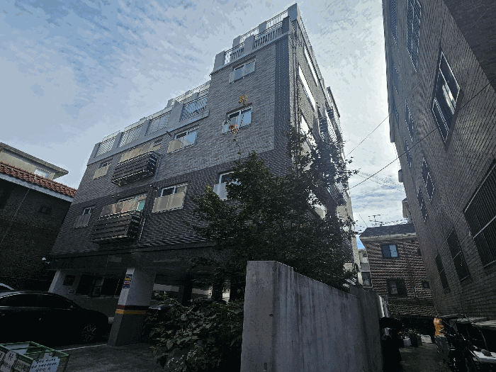 사진 13