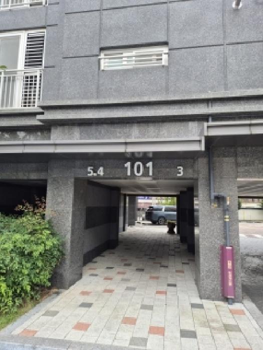 사진 11