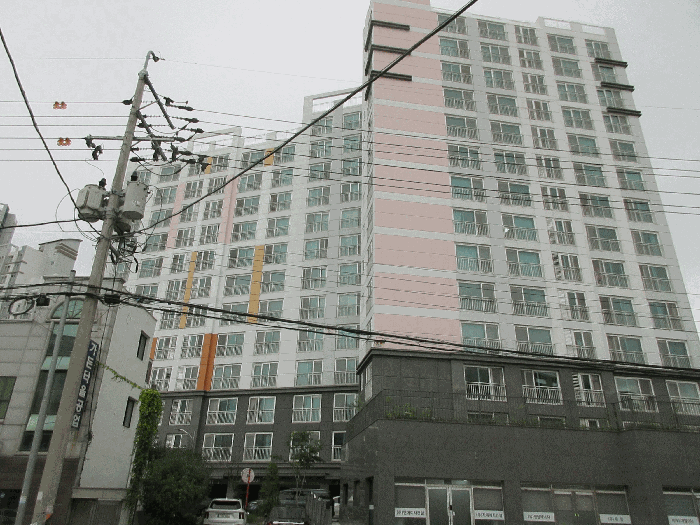 사진 4