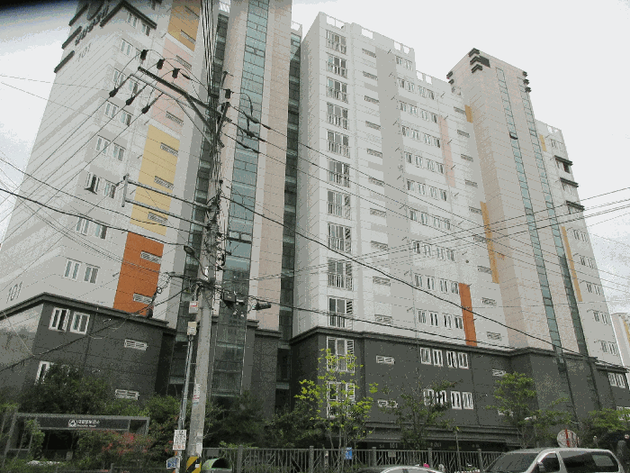 사진 6