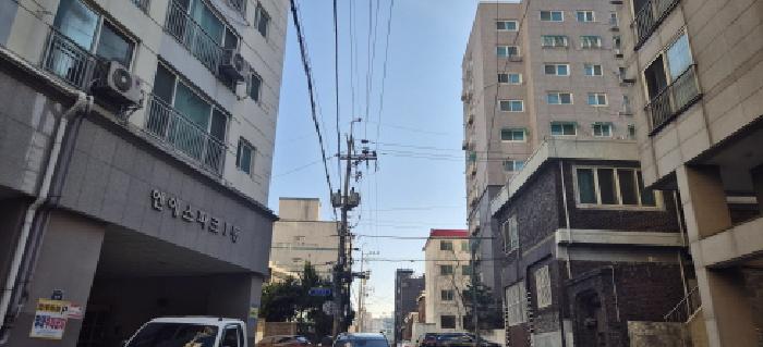 사진 5