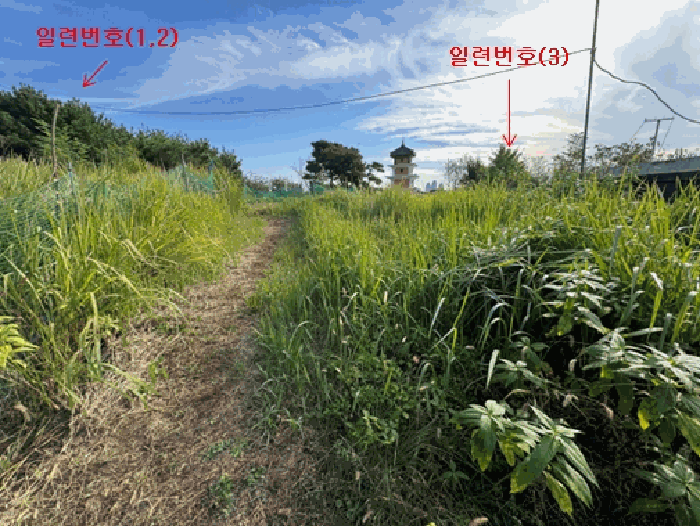 사진 31