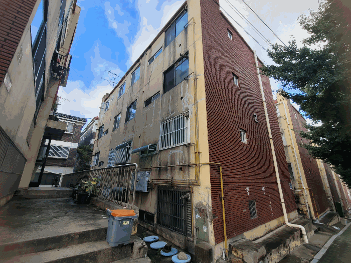 사진 12