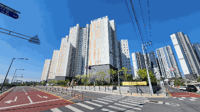 사진 5