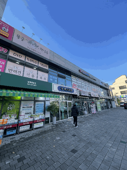 사진 5
